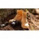 STIVALI PANAMA JACK ROUTE BOOT REPORTER VINTAGE_OCRE